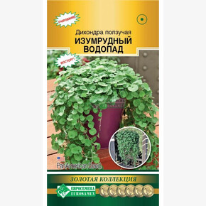 Дихондра ИЗУМРУДНЫЙ ВОДОПАД 3 драже/ Евросемена