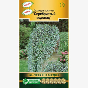 Дихондра ползучая СЕРЕБРИСТЫЙ ВОДОПАД (3 шт)