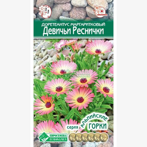 Доротеантус маргаритковый Девичьи Реснички/ Евросемена