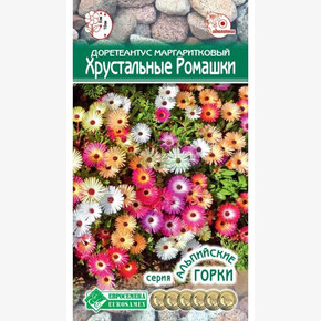 Доротеантус маргаритковый Хрустальные Ромашки/ Евросемена