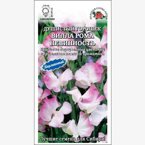 Душистый горошек Вилла Рома Невинность / Сотка