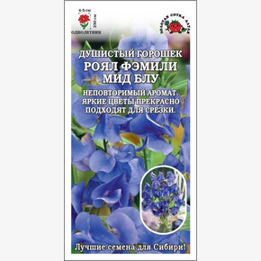 Душистый горошек Роял Фэмили Мид Блу/ Сотка