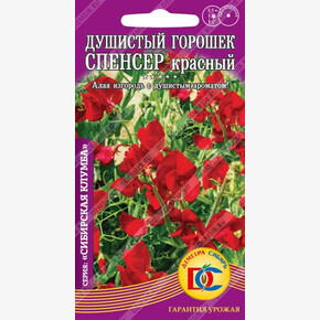 Душистый горошек Спенсер Красный /0,5 гр Дем Сиб/