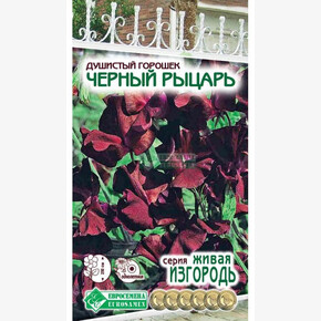Душистый Горошек ЧЕРНЫЙ РЫЦАРЬ 10 шт/ Евросемена