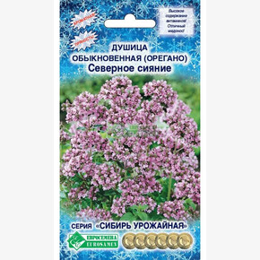 Душица Северное сияние/ Евросемена