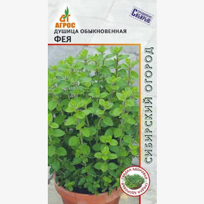 Душица Фея 0.1г*, Польша, мног/ Агрос