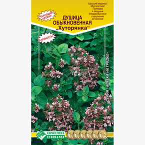 Душица ХУТОРЯНКА/ Евросемена