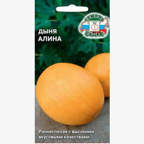 Дыня Алина/ Седек