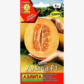 Дыня Алиса 10шт/ Аэлита