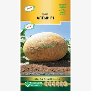 Дыня Алтын F1/ Евросемена