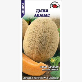 Дыня Ананас /Сотка/ 0,5 г/сред.2-2,5кг/*1000