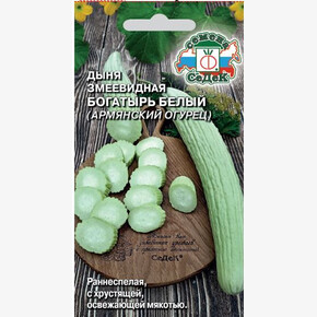 Дыня Армянский огурец Богатырь белый /Седек