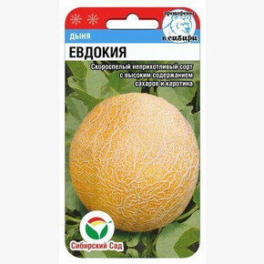 Дыня Евдокия 7шт/ Сибсад