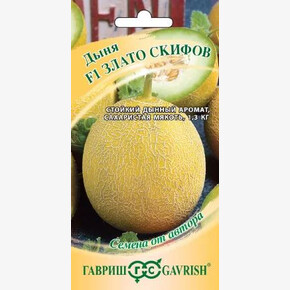 Дыня Злато Скифов/ Гавриш