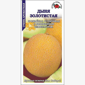 Дыня Золотистая/ Сотка