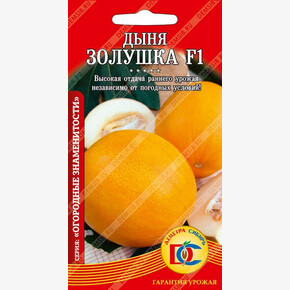 дыня Золушка /Деметра/ 10шт