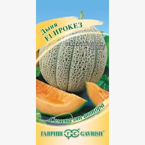 Дыня Ирокез /Гавриш/ 15шт.