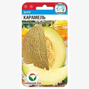 Дыня Карамель/ Сибсад