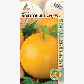 Дыня Колхозница 749/753 10шт*, Россия, ср/спел./ Агрос