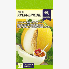 Дыня Крем-Брюле/ Семена Алтая 1 гр.