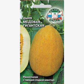 Дыня Медовая Гигантская/ Седек