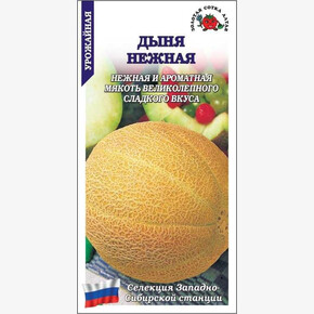 Дыня Нежная /Сотка/ 0,3г