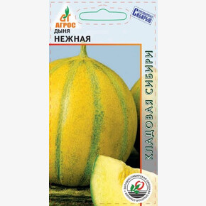 Дыня Нежная 10шт*, Россия, сред/ Агрос