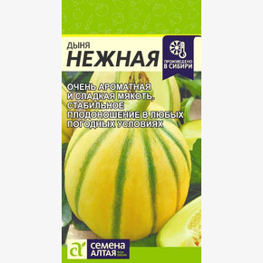Дыня Нежная/ Семена Алтая 0,5 гр.