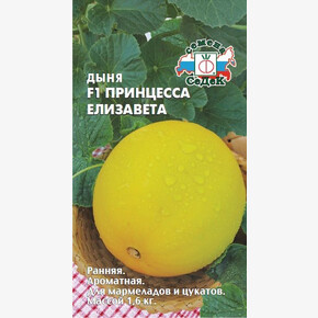 Дыня Принцесса Елизавета/ Седек