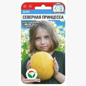 Дыня Северная Принцесса/ Сибсад