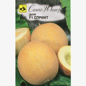 Дыня Спринт/ Семко