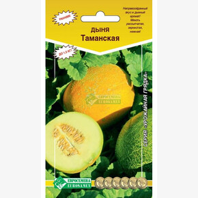 Дыня ТАМАНСКАЯ (10 шт)/ Евросемена