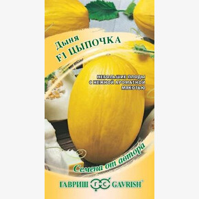 дыня Цыпочка/ Гавриш