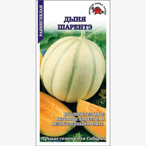 Дыня Шарентэ /Сотка