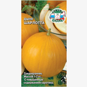 Дыня Шарлотта /Седек/