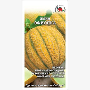 Дыня Эфиопка /Сотка/ 0,5г/ среднеран. 2,3-2,8кг овальн-кругл./*1000