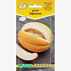 Дыня ЭФИОПКА 10 шт/ Евросемена