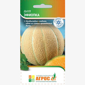 Дыня Эфиопка 10шт* / Агрос