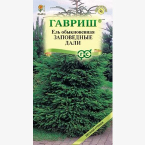 Ель Заповедные Дали/ Гавриш