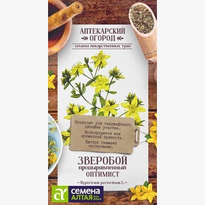 Зверобой Оптимист/ Семена Алтая