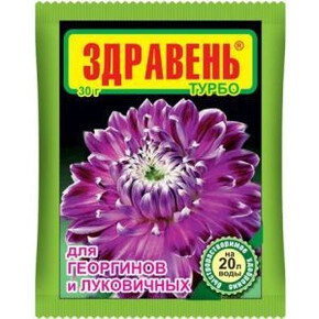 Здравень Луковичные 30 гр АКЦИЯ