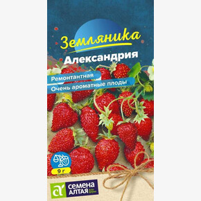 Земляника Александрия ремонтантная/Сем Алт/цп 0,03 гр.