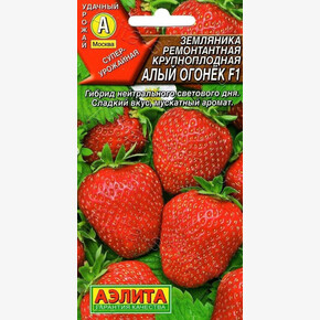Земляника Алый Огонек/ Аэлита