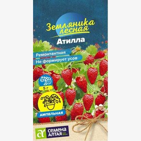 Земляника Атилла ремонтантная/Сем Алт/цп 0,03 гр. НОВИНКА