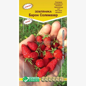 Земляника Барон Солемахер/ Евросемена