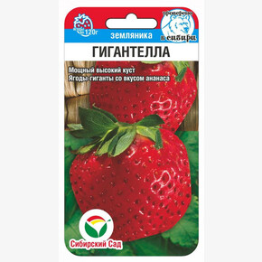 Земляника Гигантелла 10шт/ Сибсад