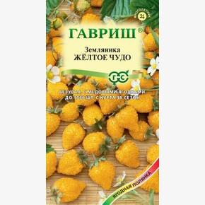 Земляника Желтое Чудо/ Гавриш