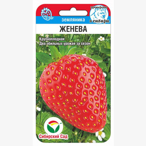 Земляника Женева 10шт Сиб Сад
