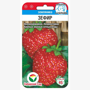 Земляника Зефир 10шт/ Сибсад