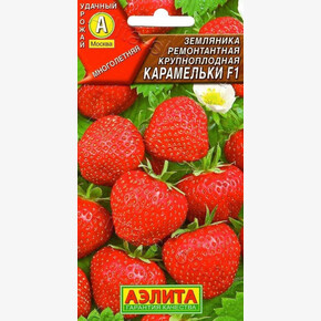 Земляника Карамельки/ Аэлита
